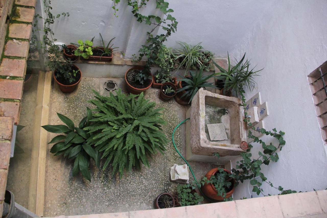 Las Coles Apartasuites Xativa Luaran gambar
