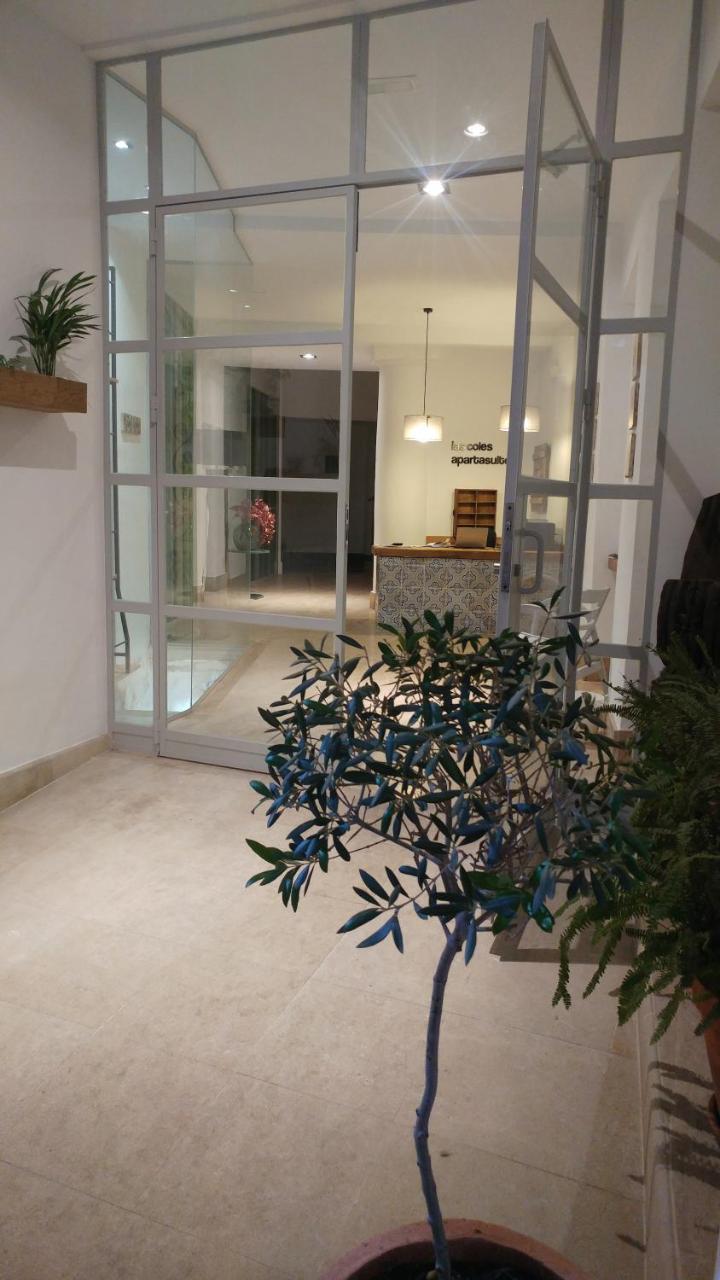 Las Coles Apartasuites Xativa Luaran gambar